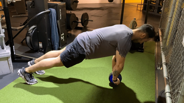 Abdominal Toning Wheel | Core & Full-Body Strength Trainer